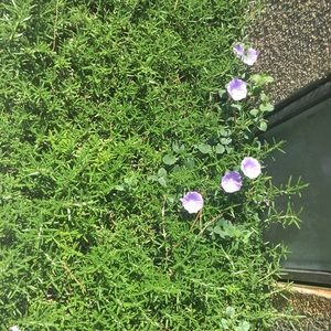 Meet your Posher, Hailey